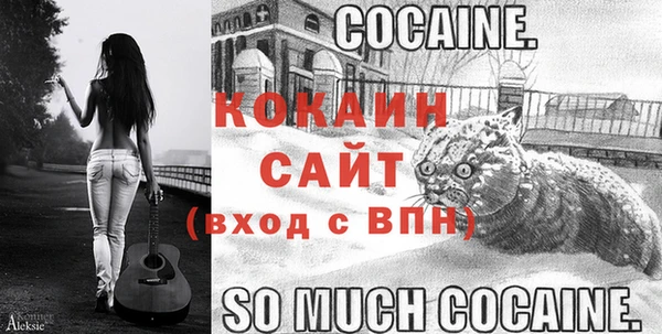 гидра Алексин