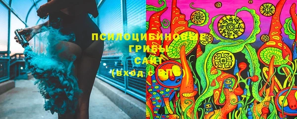 гидра Алексин