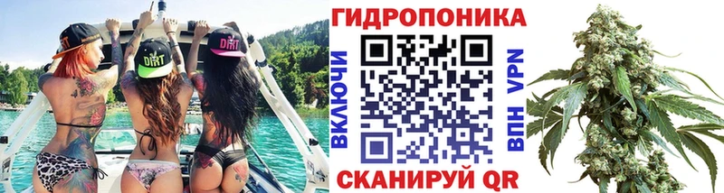 Бошки марихуана OG Kush Кудрово